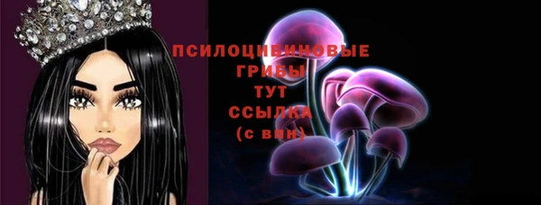 MDMA Бородино